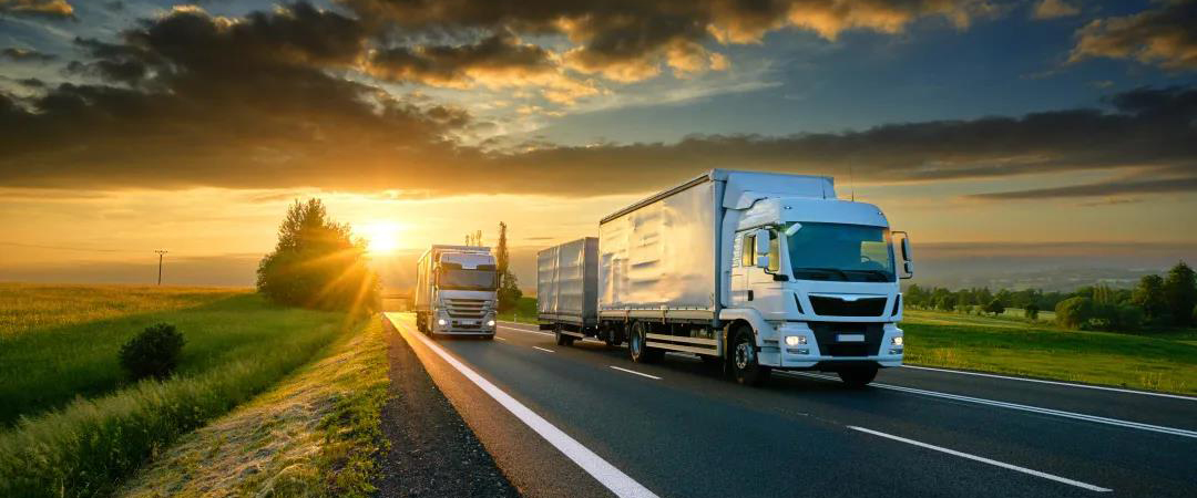 From sourcing, processing, export customs clearance to local warehousing and distribution in Europe